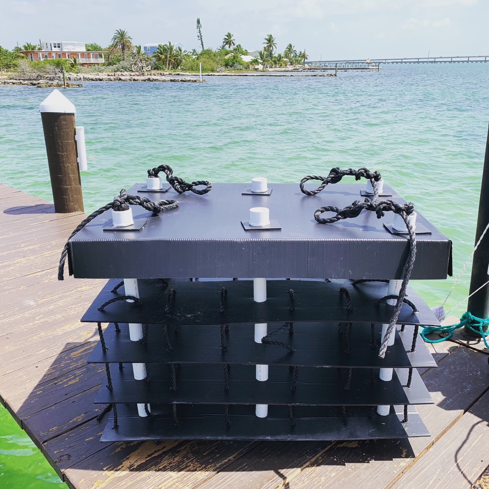 A Dock Habitat reef structure on a Florida Keys dock